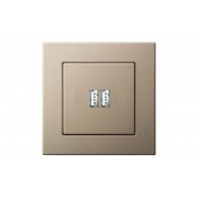 2-местное USB зарядное устройство, без рамки, EPSILON шампань